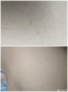 ����һ�׶�԰������������ ��������԰����Ǯ��ƽ