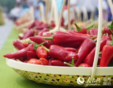 ���ݣ�С�����ɾʹ��ҵ �����ᴫ�ݺ�����