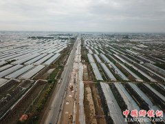 ɽ���ٹ⣺�����߲˴����������� ����æ�ָ�����