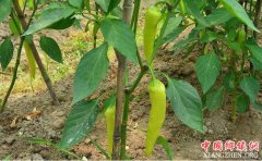 ũҵ3.0ʱ���������Ĵ�������Ȼ���֣�