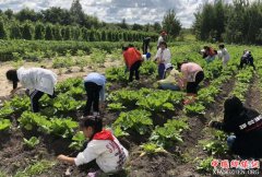 �Ĵ���������ũҵ��Ӫ��������������ϵ