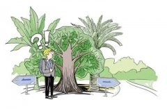 ����10�������������Ѹò��ã�����������ô��