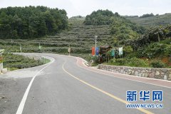 ����⨺�������γ��ɵģ������߽�⨺�����ֲ԰