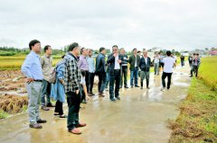 ���ݵ�ˮ���������ؼ����з�Ӧ�ó�Ч����