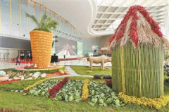 ��ʮ�Ľ��й���������ũҵ��������Ļ