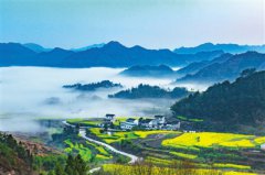 ���������Ұ�ϻ����ɫ����