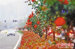 �ƴ����� �ļ�����