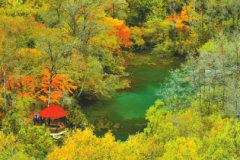 ͺҶĲ֡Ʒ﹥ԡɫζȫ