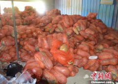 쾯ƻ˶ 20Ϲвض2.8ǧ