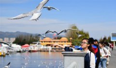 ����Ÿ����34�������������Խ��