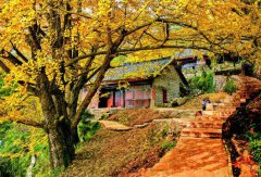 ������̳�����ݶ��⿪�ŵġ�����Ұ��