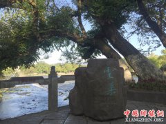 �����˰�����̬�޸�����ɫũҵ�ù�����������ȫ������