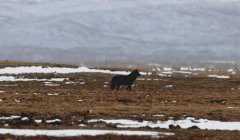 ����Դ���ҹ�԰�״����㵽���ǻӰ��