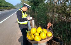 ������ٰ�̯�����������6�� ���񣺸���·�����á���