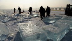 �ɻ����ϲɱ�æ