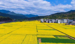 ũҵ������ ��������� ����д���������ս��ʵʩԪ��