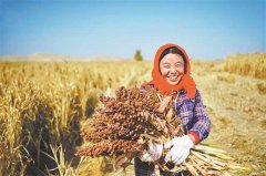 ����������������조��ɳ�ˡ�