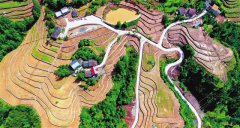 ��԰Ҳ���� ����Ģ����Сʱ������