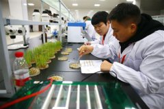 �������� ��װ����