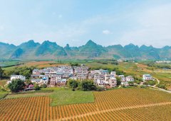 �´��߻���: �����������˾����������Ԫ