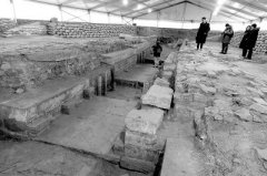 ���Ű����Բ��԰���Ž�����