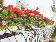 �Զ���ˮ�豸�ǻ����ݳɳ�