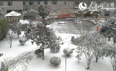 ���ն��ӭũ�������׳���ѩ �����ѩ16����