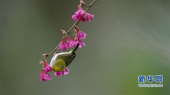 ���ݣ��컨�����¾�