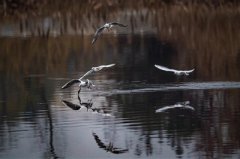 �츮�����״γ��ִ��ģ����ŸԽ�� ¹Ϫ�ӳ��½�������Ϣ��