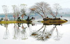 �紺����������