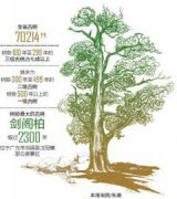 �Ĵ����������ľ�ҵ� ����ϵ�������2300����