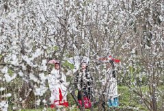 �ѽ�2����Ķӣ�һ�������