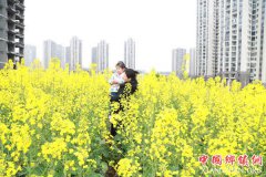 ����ɳƺ�ӣ��Ͳ˻���������