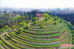 ������Ϫ��էů���������� ��Ϫ���ϲ�Ʈ��