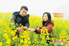 ��������С������Ͳ˻�����10����ɫ