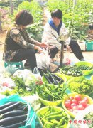 ɽ��۰�Ƿ��룺����ý�塱���͡������ˡ�