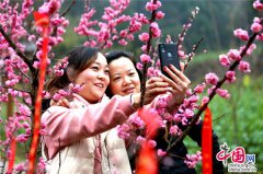 �Ĵ���Ԫ�����ֹ�ӣ��ʢ�� ��ǧ�ο�ǰ�����򿨡�