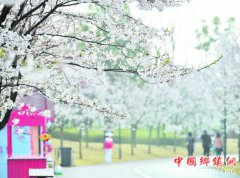 üɽӭ��������ӣ��