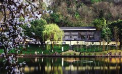 ����һ�괺�ô� ����������ﴺ��Ѱ