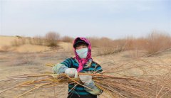 ɳ�������� ����������