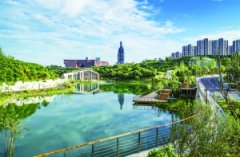 ����������԰�� ԰�ڳ���