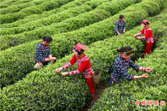 ���ߵ�����С��ɽ�ɲ�ڽ���4��3�վ���