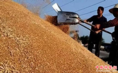 �Ĵ�����չ��������ʳ�������