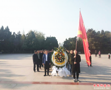 ���գ���������ӽֵ���֯��Ա�廳��������