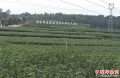 �����Ĵ��׸�ũҵ��ҵ�������� ����ũ�����г����չ������湲��