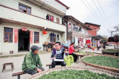 ��һ����ֻ�ƶ������ͼ ����ͼ��ս����ƶ