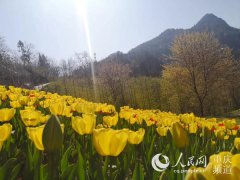 ����ǿڣ��˼����������� ̤���ͻ�����ʱ