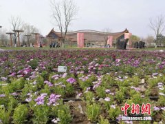 ������԰�ῪĻ�ڼ� ����׼���������������