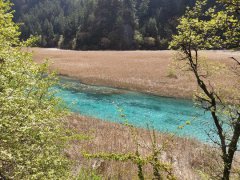 ��կ�������ر�ˮˮ��ָ���ѻָ�����ǰˮƽ