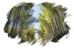 ֽڡ߿սǿ¶Ӫ Ĵ 5淨